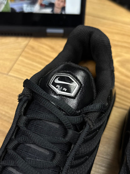 Nike Air Max Plus (45)