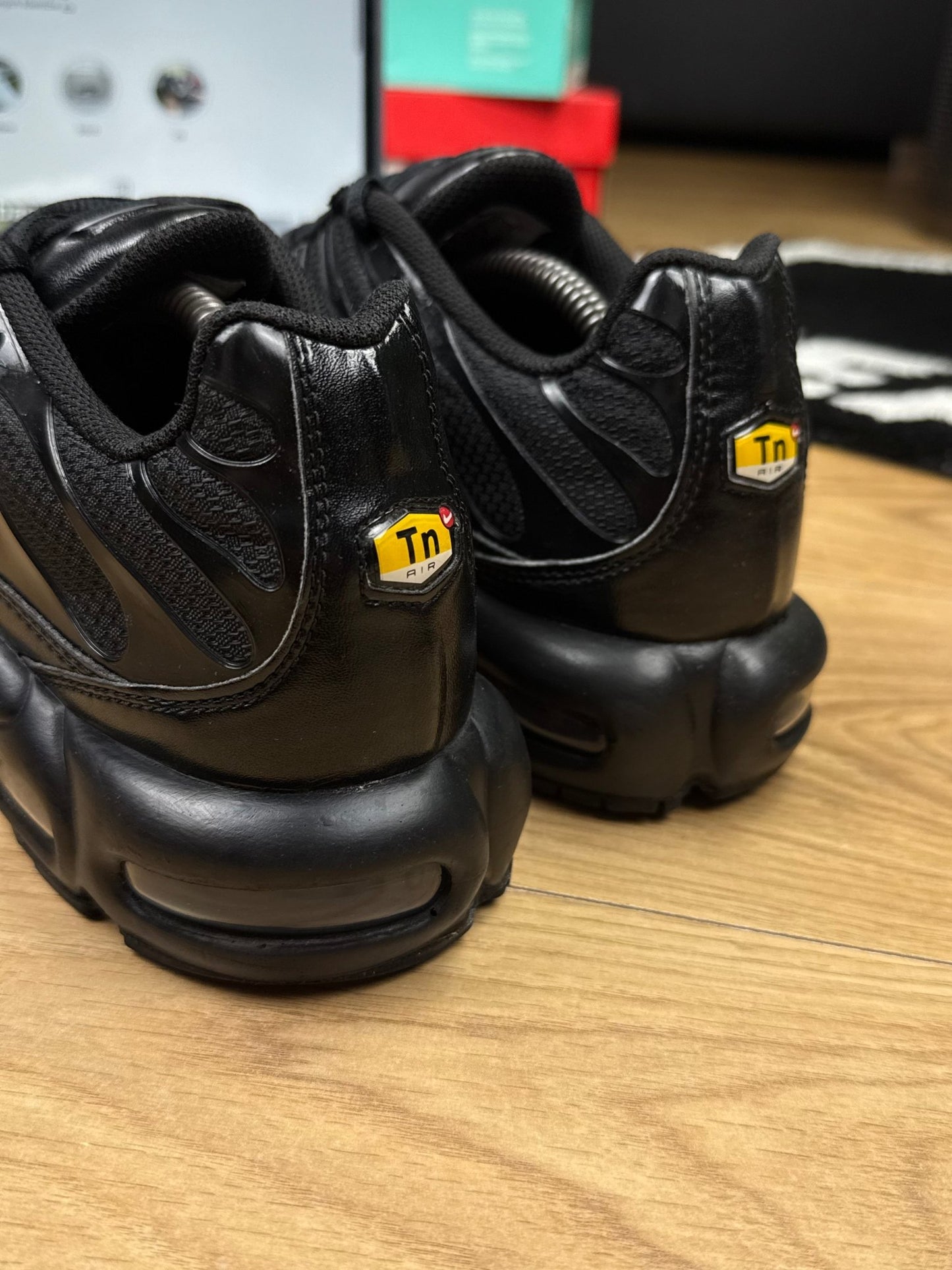 Nike Air Max Plus (45)