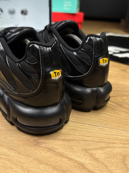 Nike Air Max Plus (45)