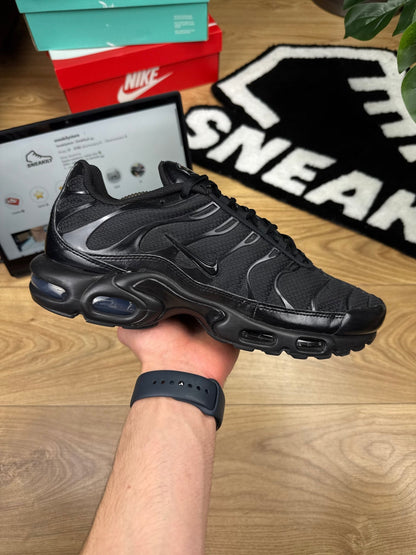 Nike Air Max Plus (45)