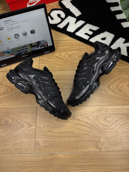 Nike Air Max Plus (45)