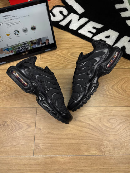 Nike Air Max Plus (45)