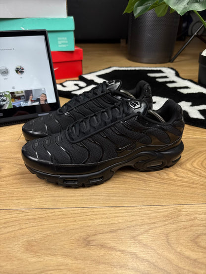 Nike Air Max Plus (45)