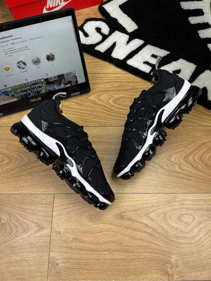 Nike Air Vapormax Plus (42)