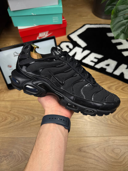 Nike Air Max Plus (45)