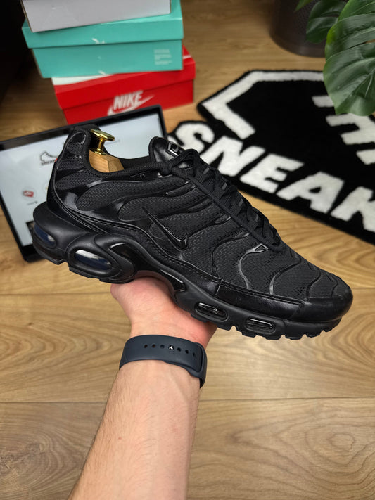 Nike Air Max Plus (45)