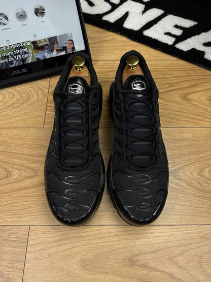 Nike Air Max Plus (45)