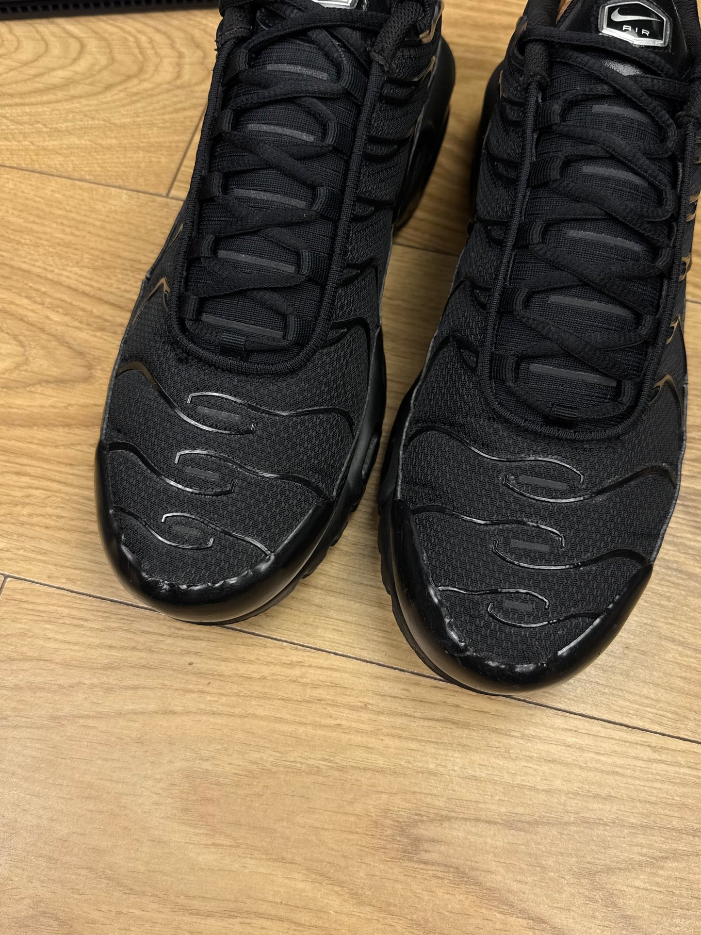 Nike Air Max Plus (45)