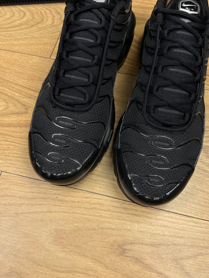 Nike Air Max Plus (45)