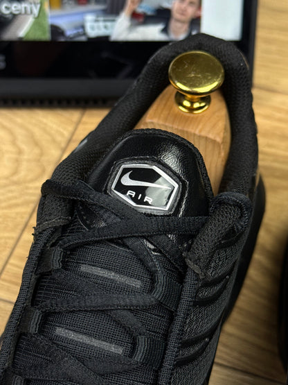 Nike Air Max Plus (45)