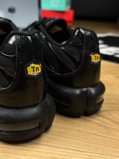 Nike Air Max Plus (45)