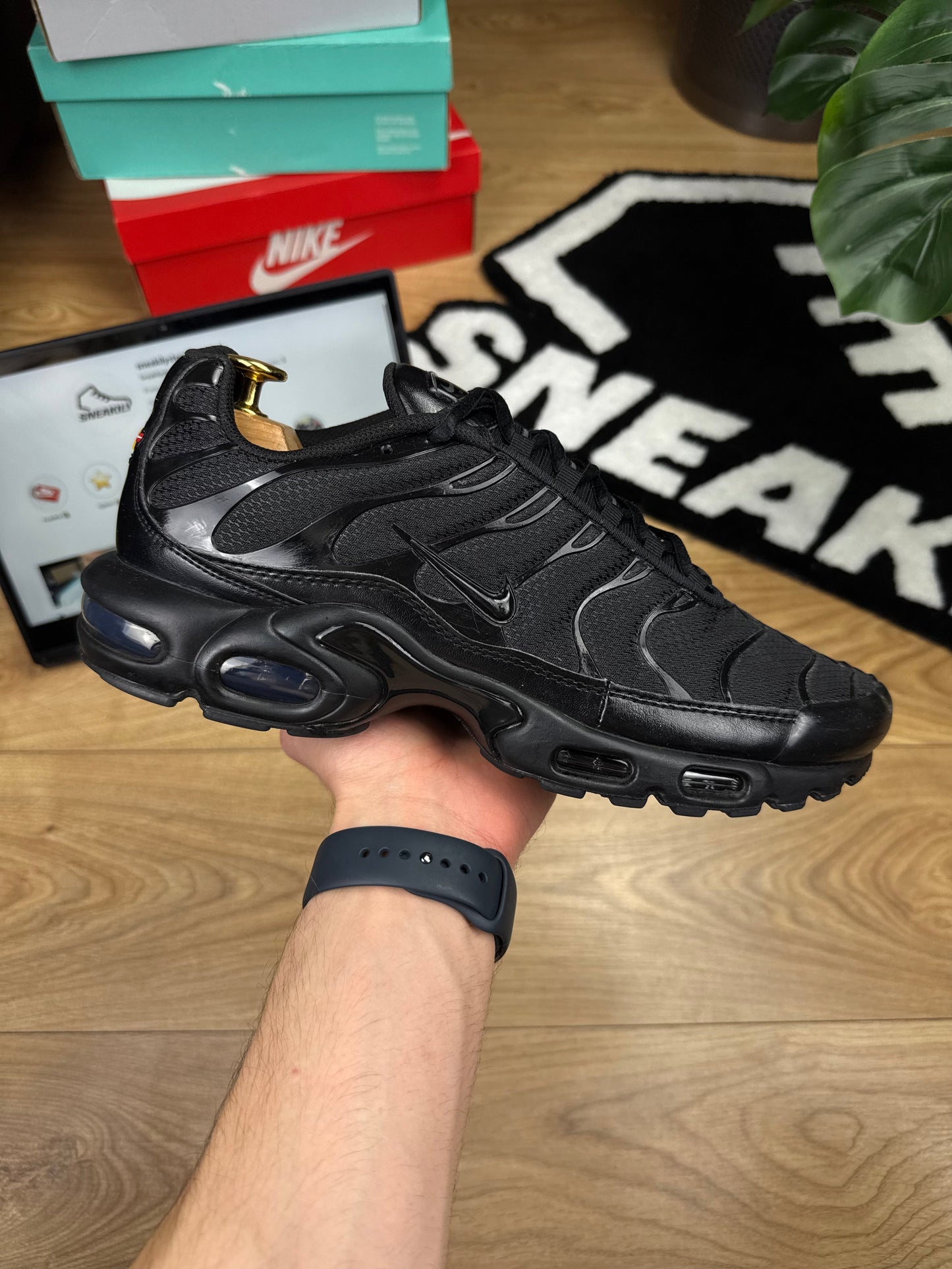 Nike Air Max Plus (45)