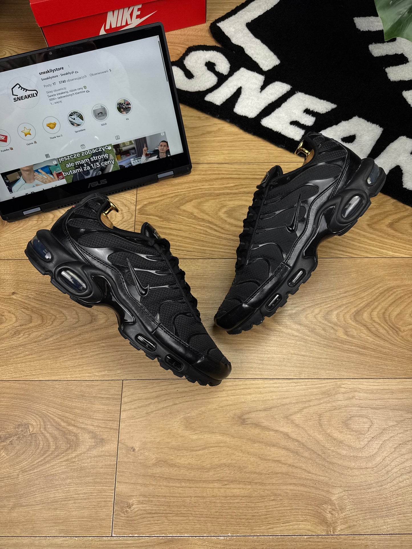 Nike Air Max Plus (45)