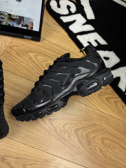 Nike Air Max Plus (45)