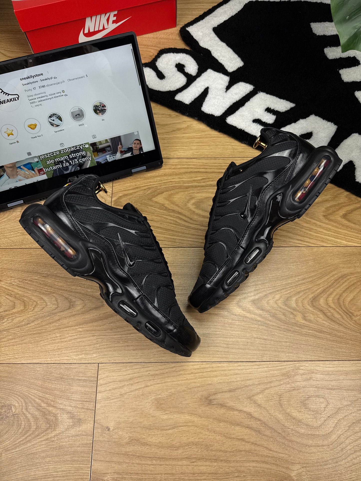 Nike Air Max Plus (45)