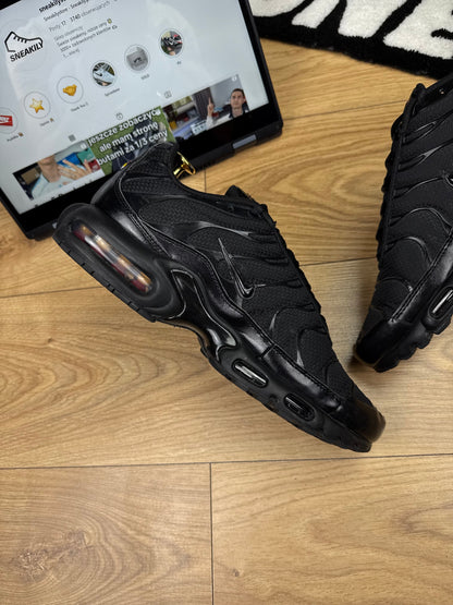 Nike Air Max Plus (45)