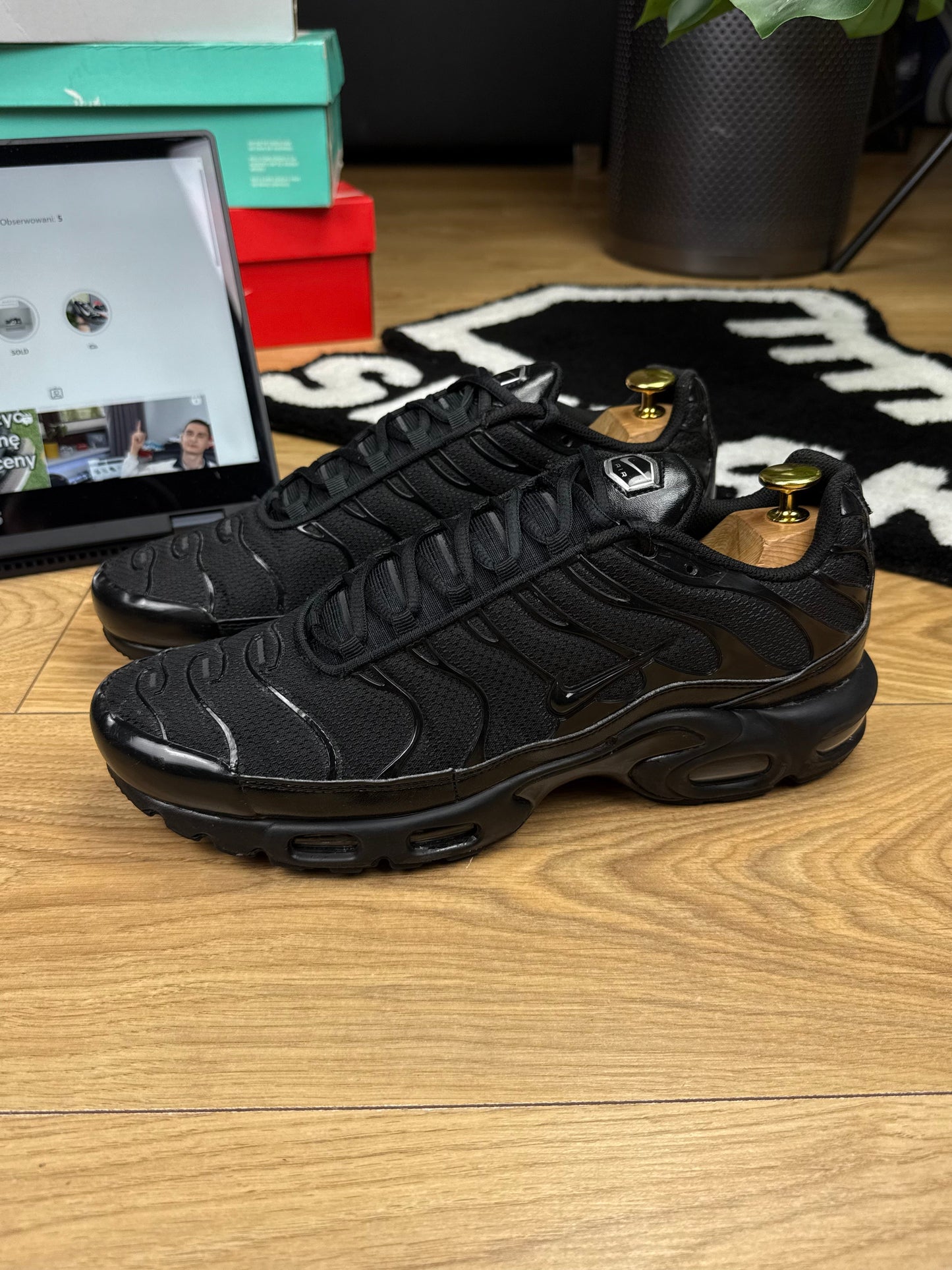 Nike Air Max Plus (45)