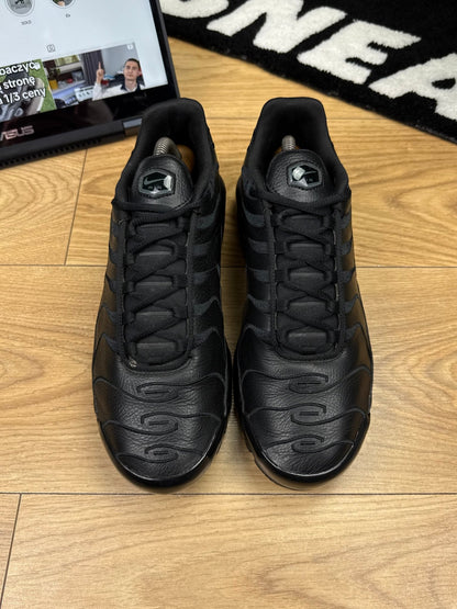 Nike Air Max Plus (42.5)