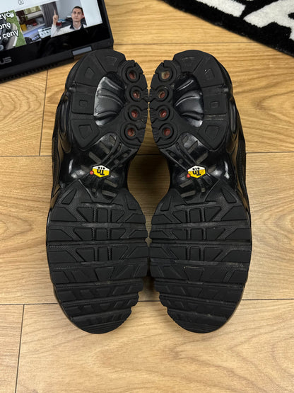 Nike Air Max Plus (42.5)
