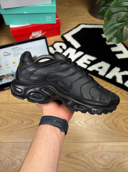 Nike Air Max Plus (42.5)