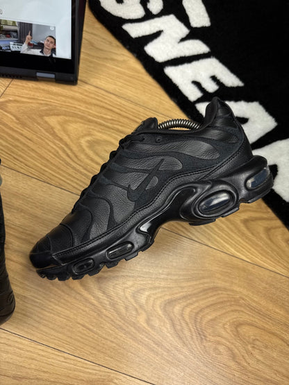 Nike Air Max Plus (42.5)