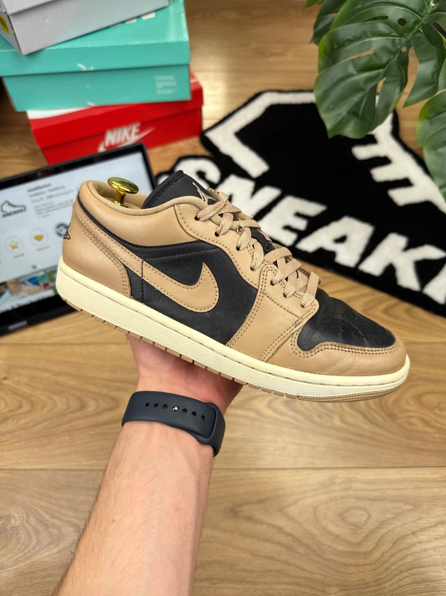 Nike Air Jordan 1 Low (41)