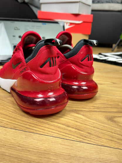 Nike Air Max 270 (45)