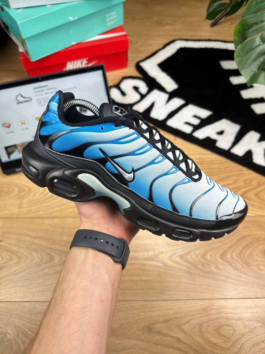 Nike Air Max Plus (43) - sneakilystore