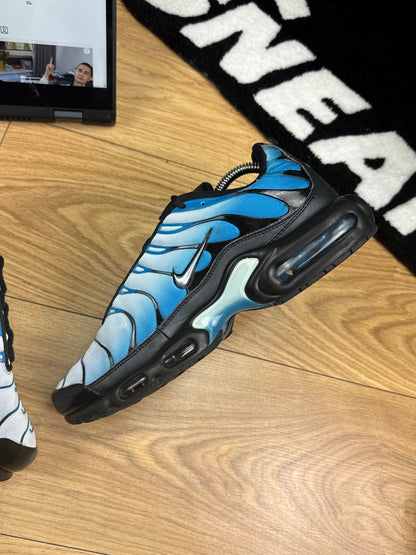 Nike Air Max Plus (43) - sneakilystore