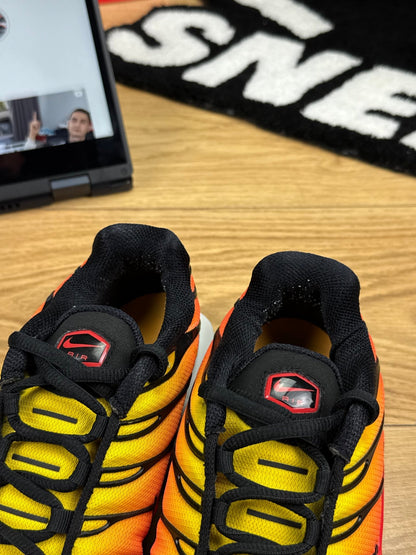 Nike Air Max Plus (42.5) - sneakilystore