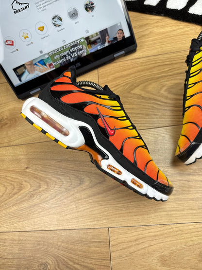Nike Air Max Plus (42.5) - sneakilystore