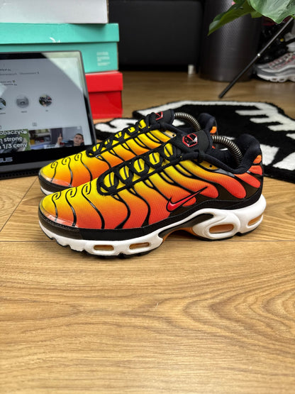 Nike Air Max Plus (42.5) - sneakilystore