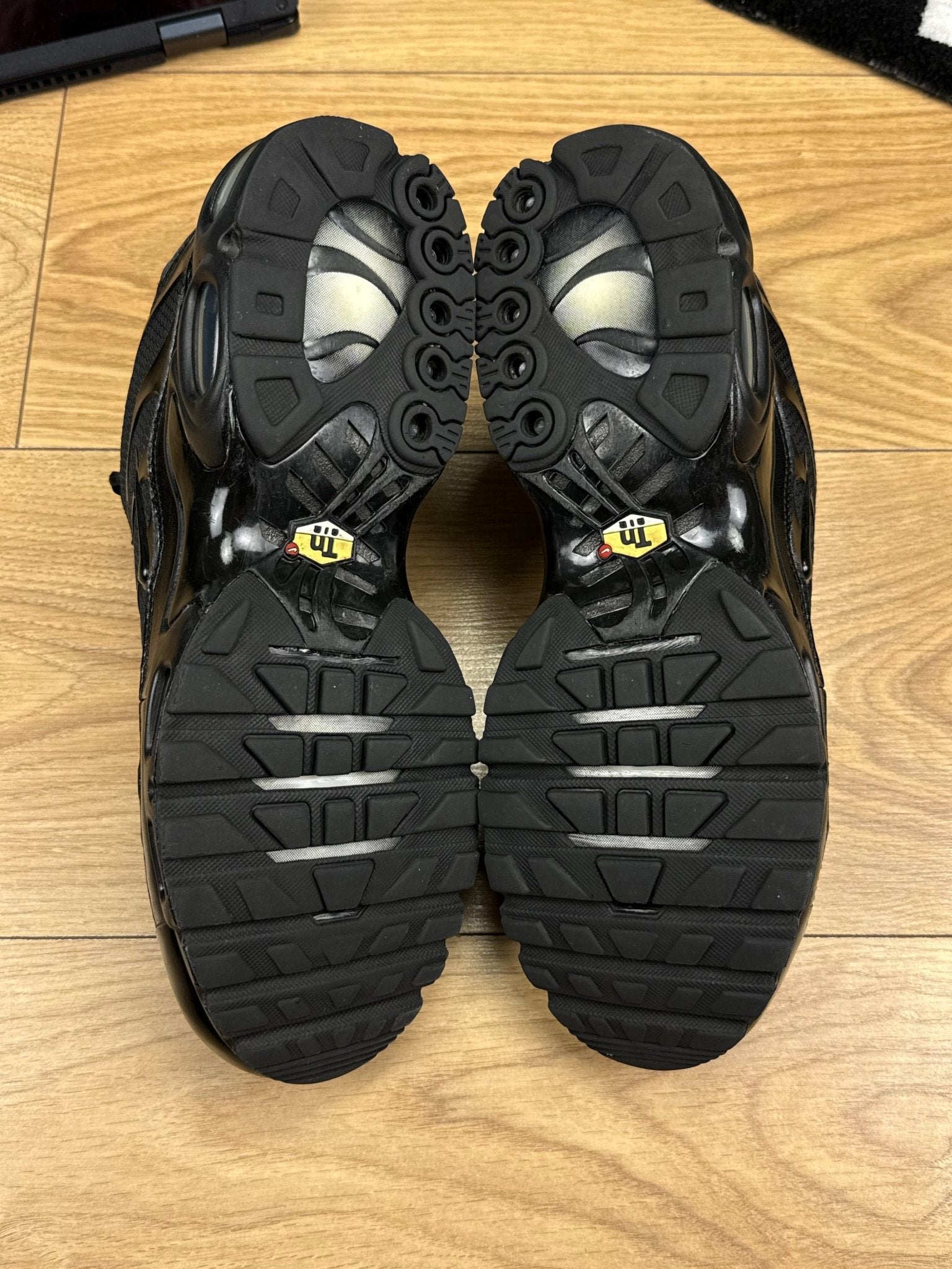 Nike Air Max Plus (44.5) - sneakilystore