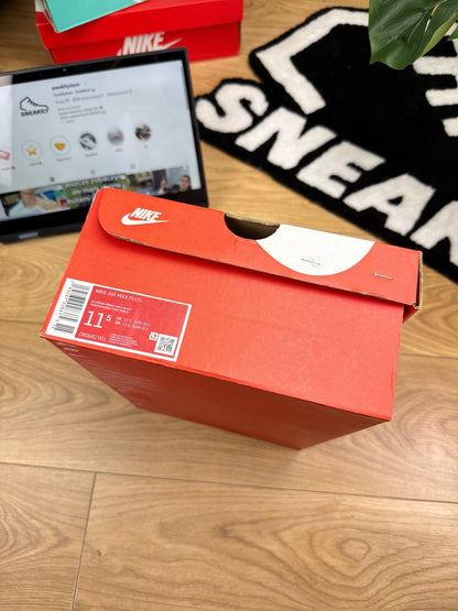 Nike Air Max Plus (44.5) - sneakilystore