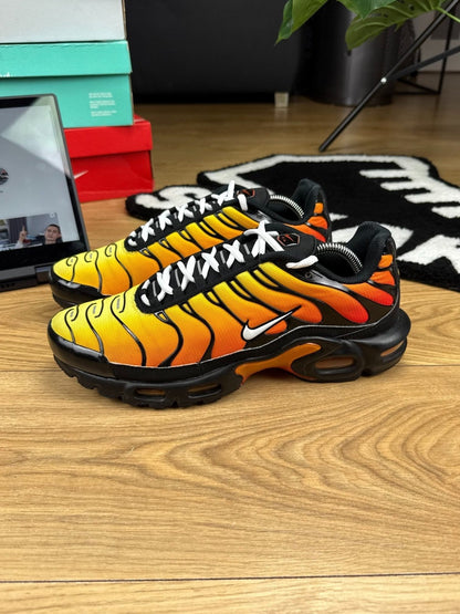 Nike Air Max Plus OG Tiger — buty sportowe męskie w bardzo dobrym stanie rozmiar 45, widok z góry