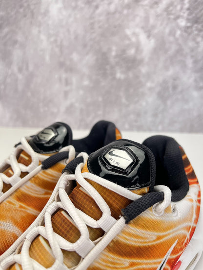 Nike Air Max Plus (42.5) - sneakilystore