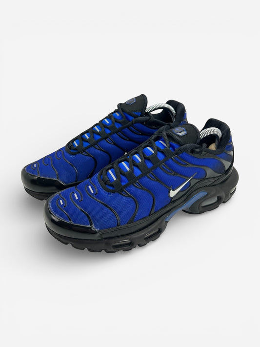 Nike Air Max Plus (40) - sneakilystore