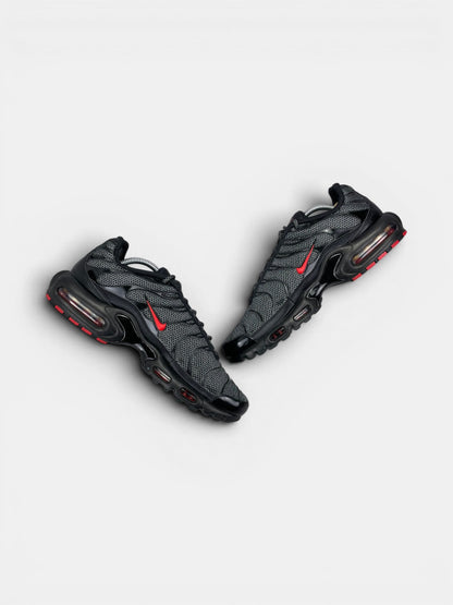 Nike Air Max Plus Metal Mesh — buty sportowe męskie w bardzo dobrym stanie rozmiar 45, zewnętrzny panel prawego buta