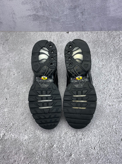 Nike Air Max Plus (44) - sneakilystore