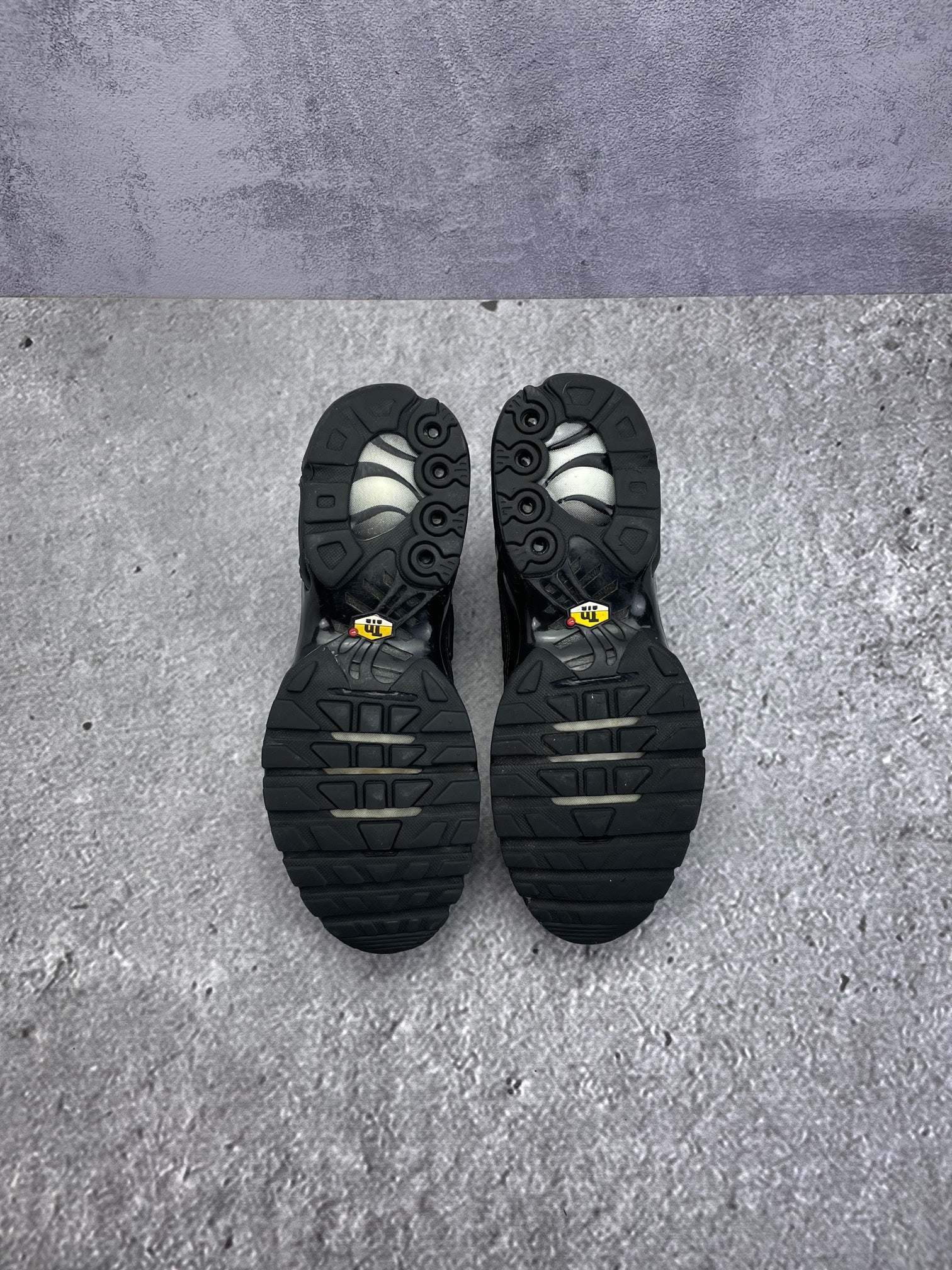 Nike Air Max Plus (41) - sneakilystore