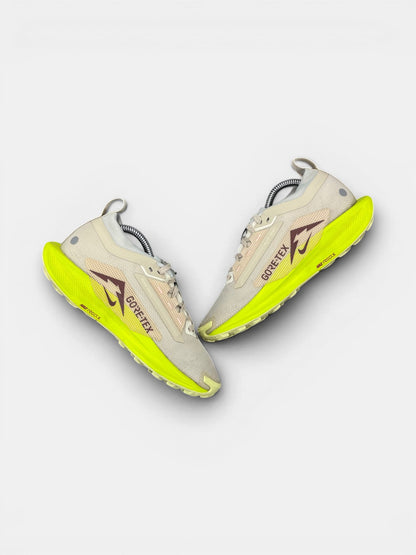 Nike Pegasus Trail 5 GORE-TEX — buty sportowe damskie w bardzo dobrym stanie rozmiar 38, zewnętrzny panel prawego buta