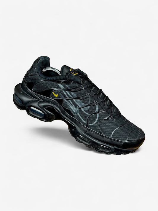 Nike Air Max Plus TN (44.5)