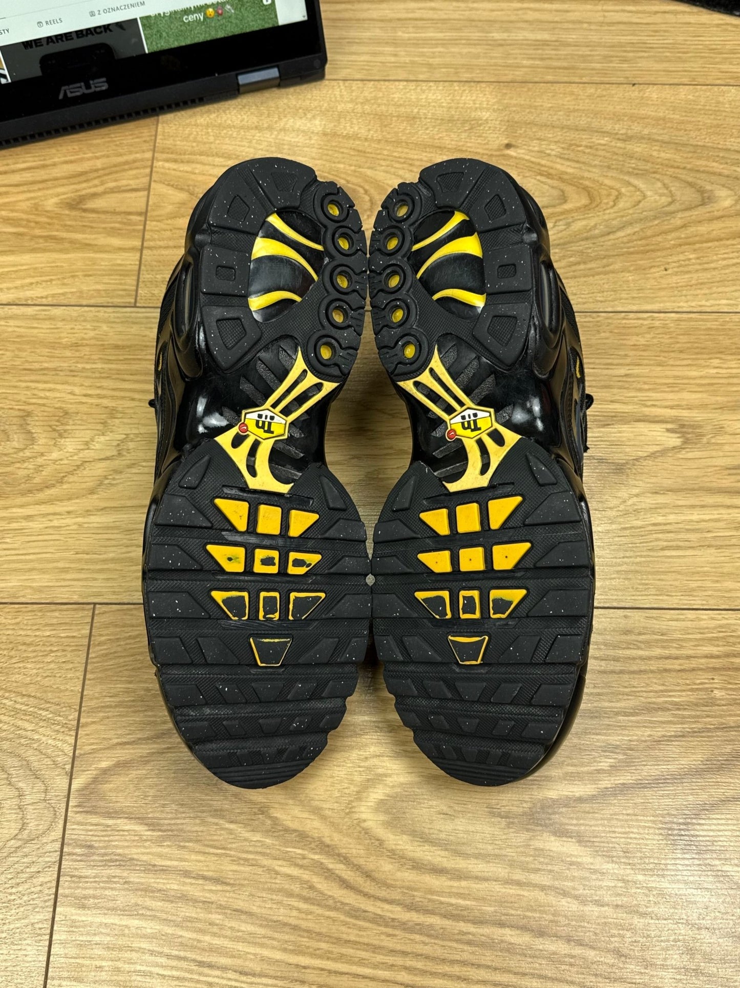 Nike Air Max Plus TN (44.5)