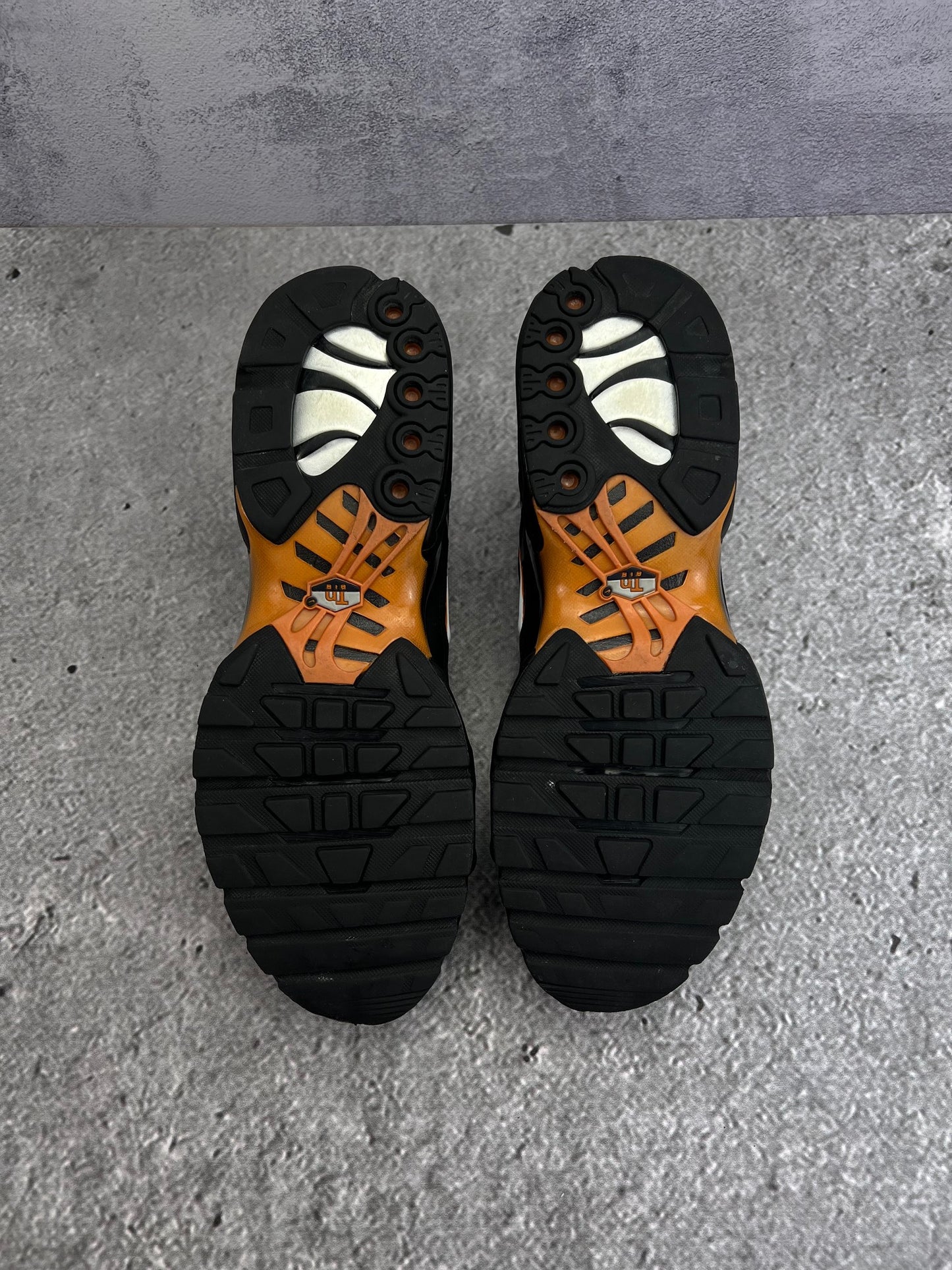 Nike Air Max Plus Dark Obsidian Monarch - buty sportowe, widok z tyłu