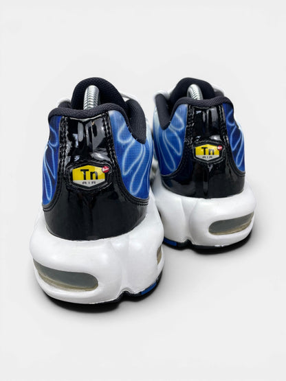 Nike Air Max Plus (TN) Light Photography Blue — buty sportowe męskie w bardzo dobrym stanie rozmiar 42, widok z tyłu