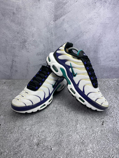 Nike Air Max Plus Grape - buty sportowe, para butów, widok z boku na tle studyjnym
