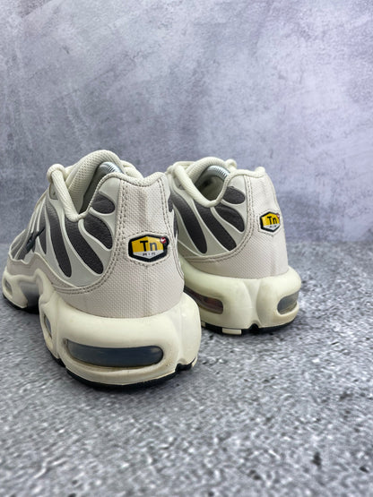 Nike Air Max Plus Light Orewood Cave Stone - buty sportowe, widok z tyłu