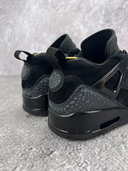Jordan Spizike Low Black Cat - buty sportowe, widok z tyłu