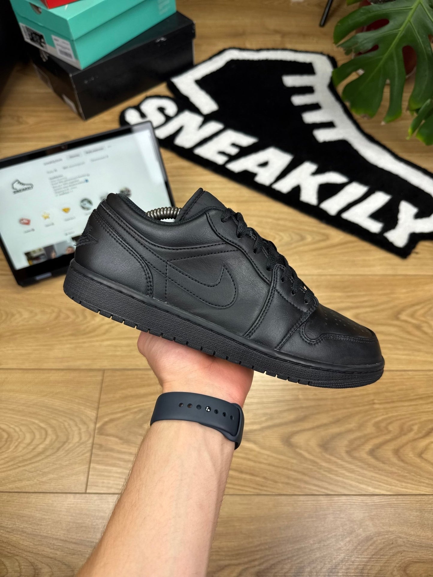 Nike Air Jordan 1 Low (44)