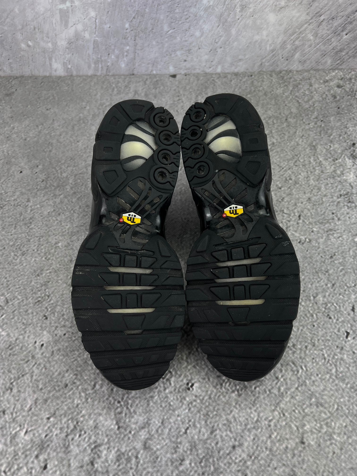 Nike Air Max Plus (TN) rozmiar 42